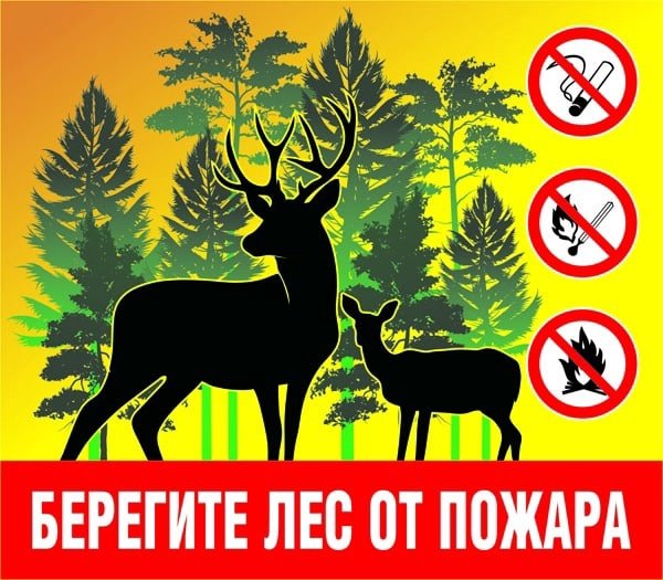 Плакат "берегите лес!"