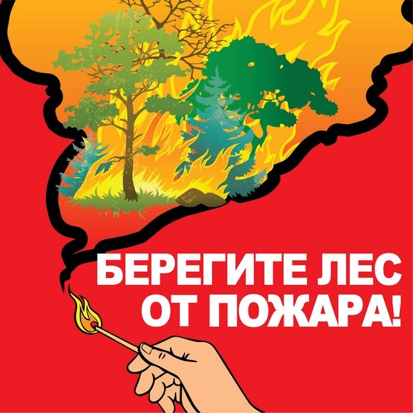Береги лес от пожара