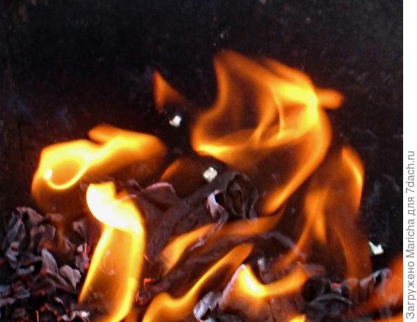 Я вам желаю очага с огнём