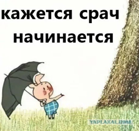 Мем кажется срач начинается