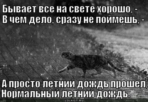 Шутки про дождь