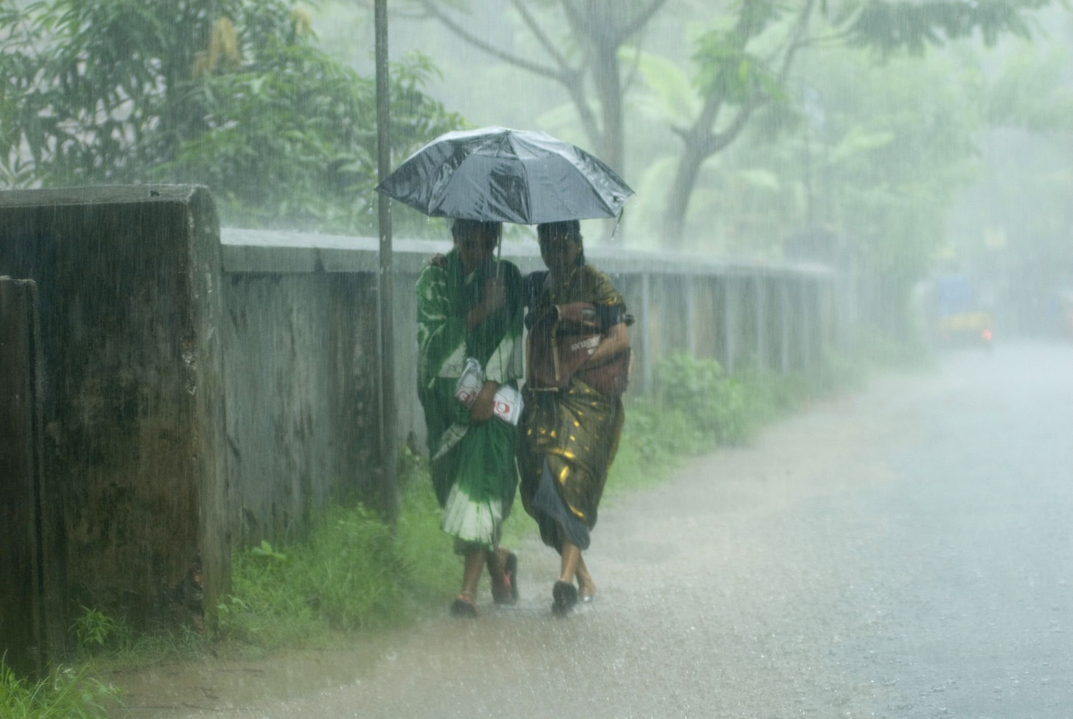 During rain. Дождь в Индии.