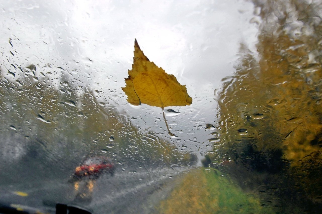 Картинки дождь и ветер (69 фото) » Картинки и статусы про окружающий мир  вокруг
