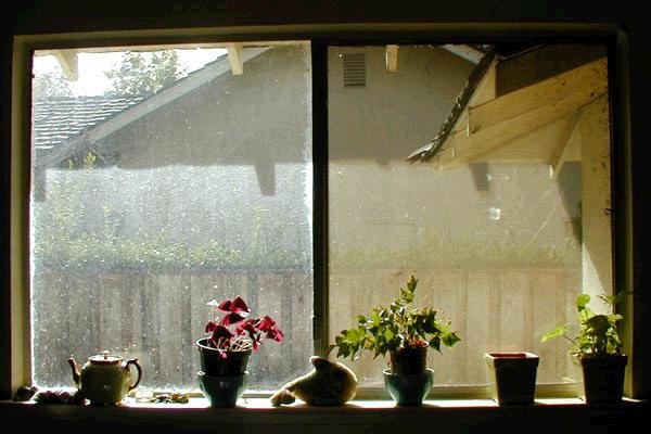 В окно смотрели двое