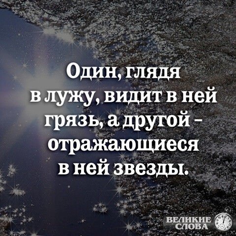 Один глядя в лужу видит в ней грязь