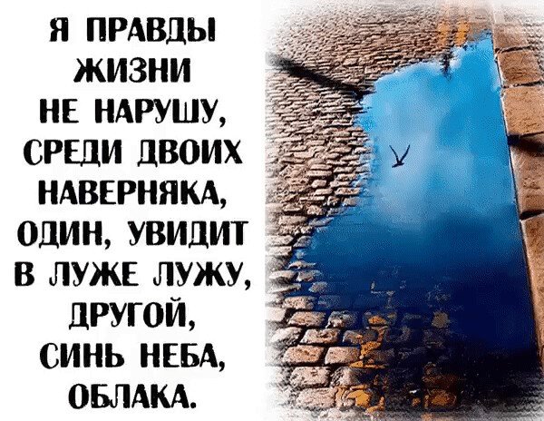 Кто-то видит в лужах грязь