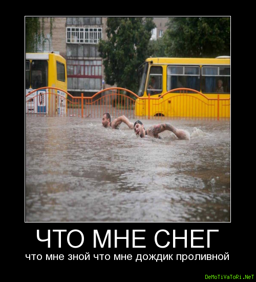 Дождливое лето демотиваторы