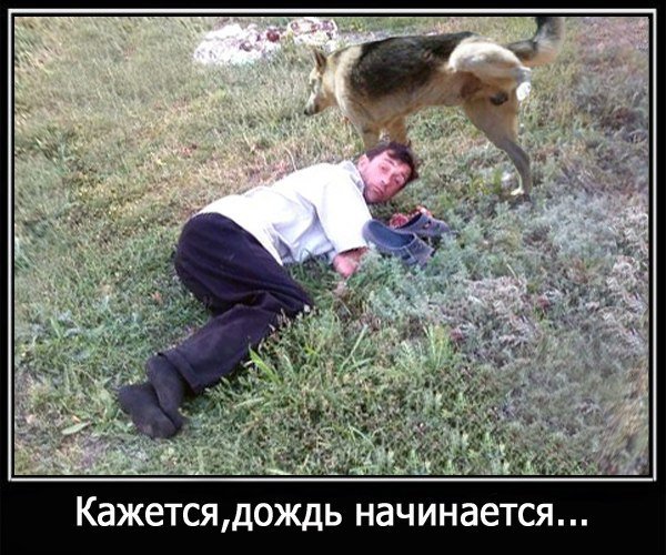 Кажется дождь собирается