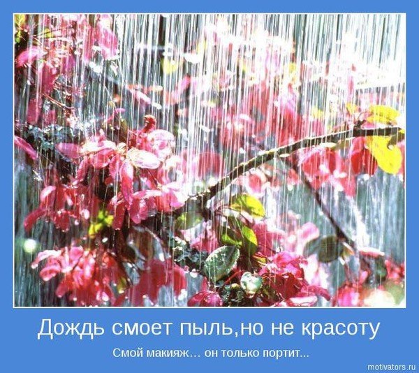 Дождь не испортит настроение