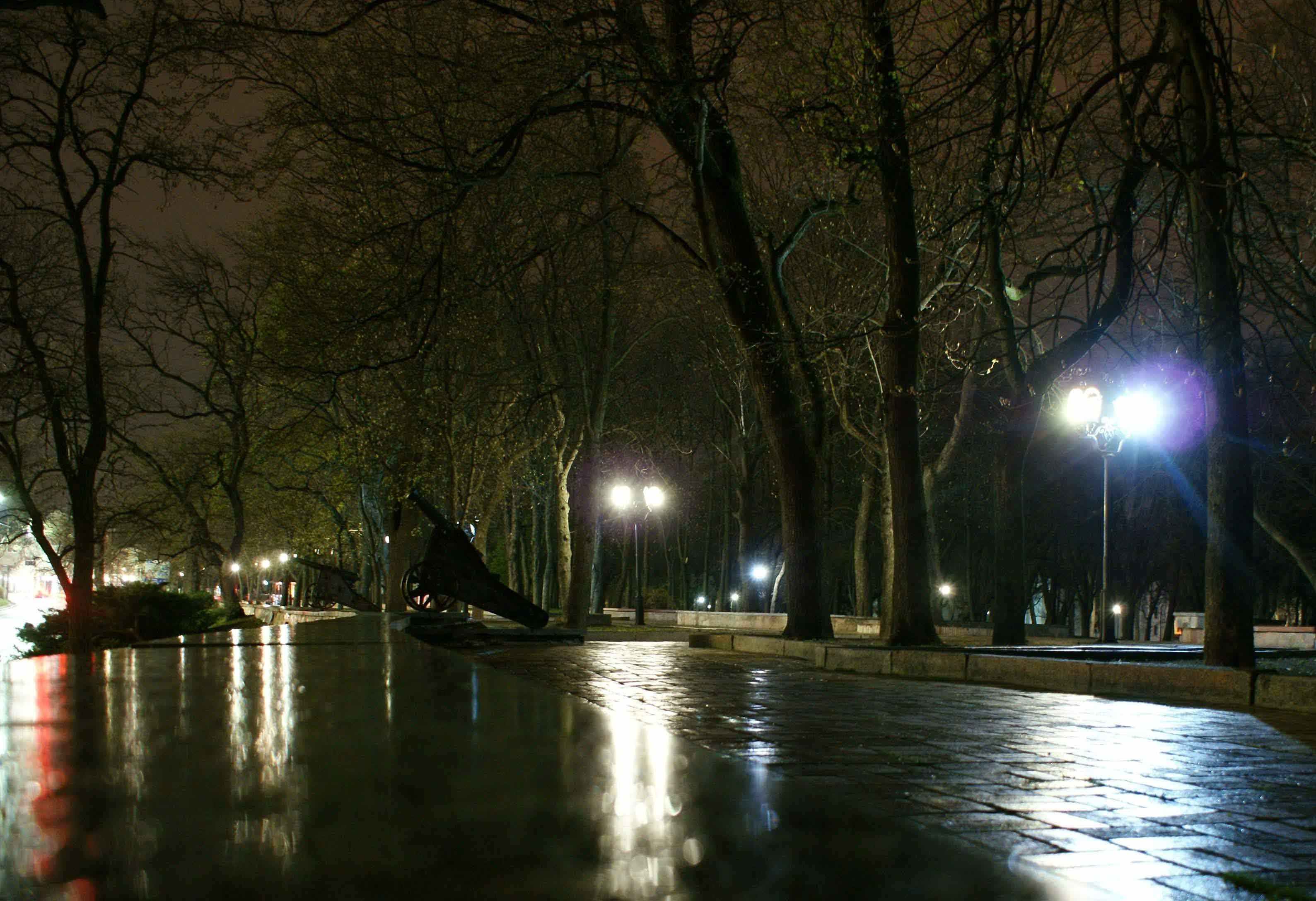 Сегодня ночь дождь есть. Краснодар сквер осень ночь. Дождливый парк ночью. Ночной дождь. Дождь ночью.