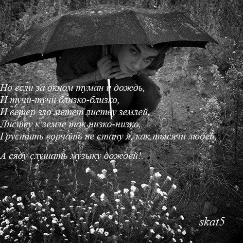 Дожди: стихи