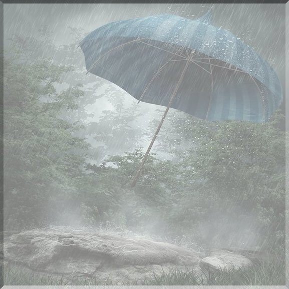 Дождик ласковый мелкий и тонкий