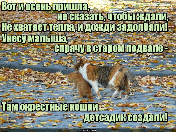 Вот и осень пришла приколы