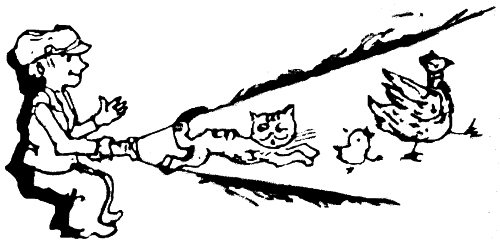 Голявкин тетрадки под дождем Главная мысль