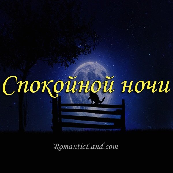 Спокойного дежурства и доброй ночи