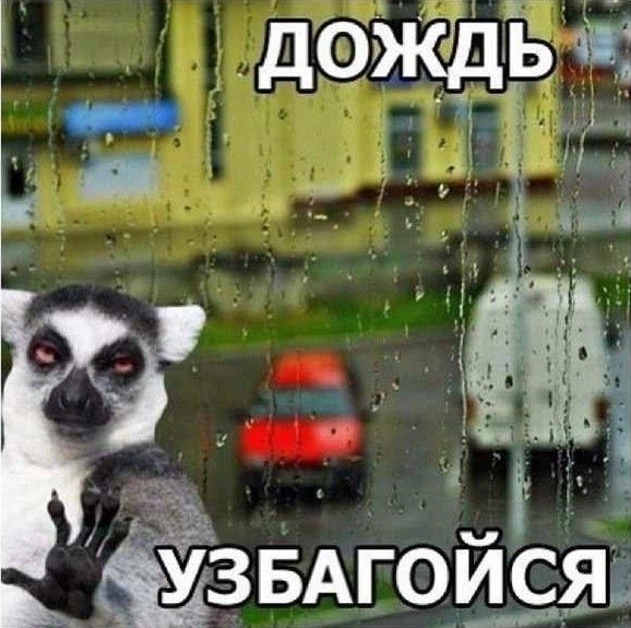 Дождь узбагойся