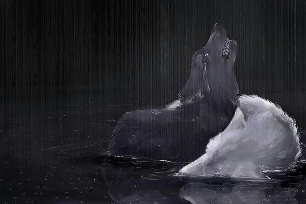 Волк плачет