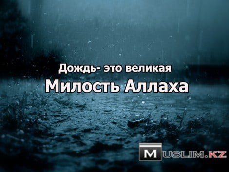 Дождь это милость Аллаха