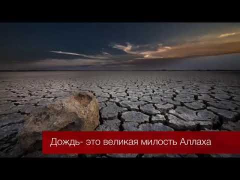 Дождь это милость Аллаха