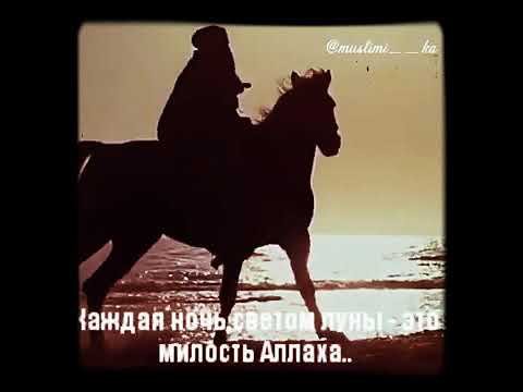 Дождь это милость Аллаха