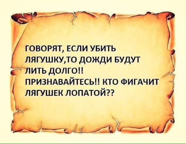 Анекдоты про дождливую погоду