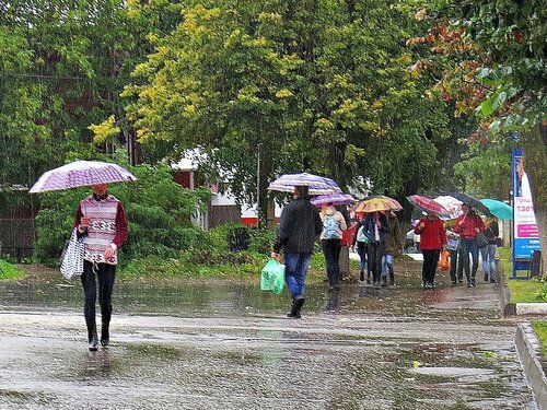 Красноярск осень дождь