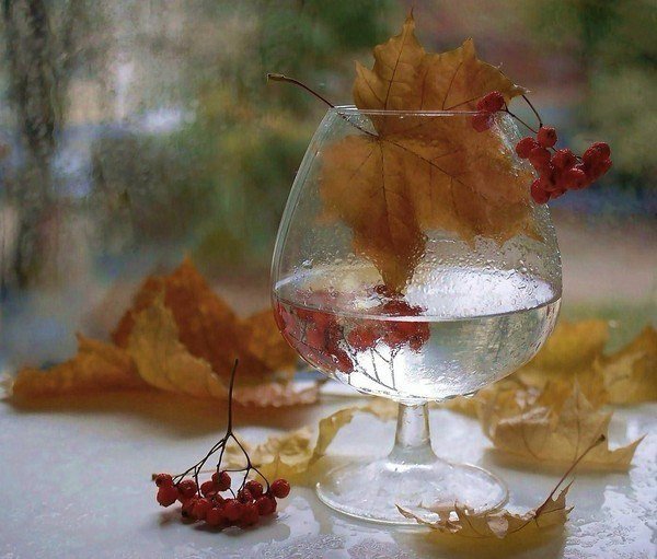 Осенний натюрморт с дождем