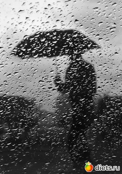 Люблю дождь