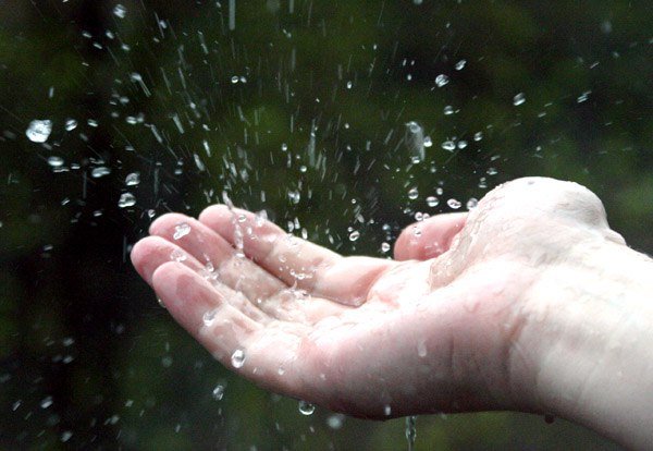 Капли дождя в ладонь