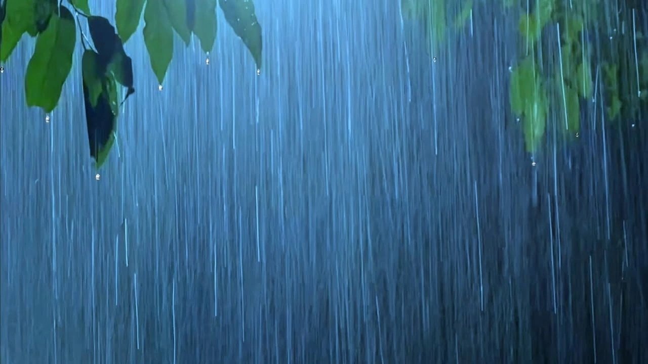 Звон дождя. Дождливое лето. Звук дождя. Дождь для успокоения. Звук ливня.