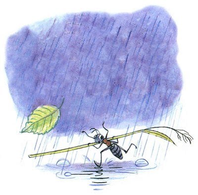 Сутеев под грибом муравей