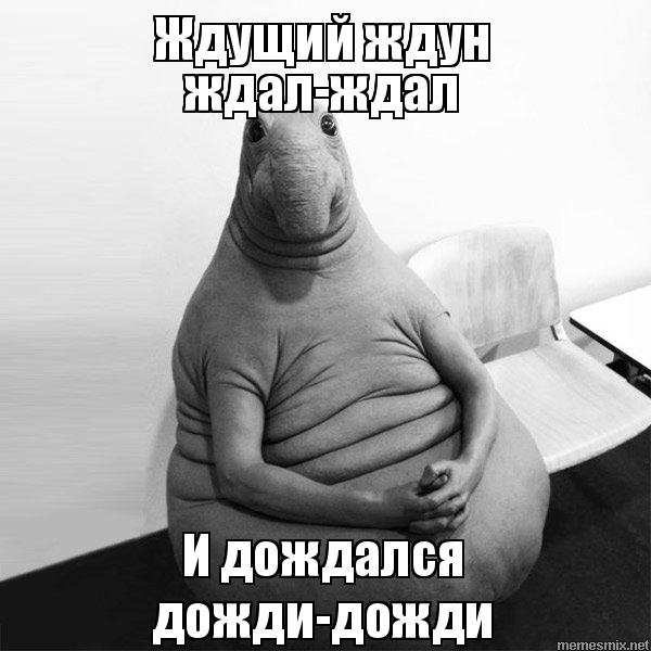 Ждун горячей воды