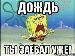 Дождь достал