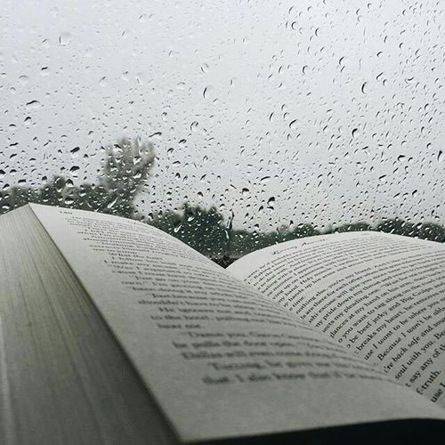 Дождь книга