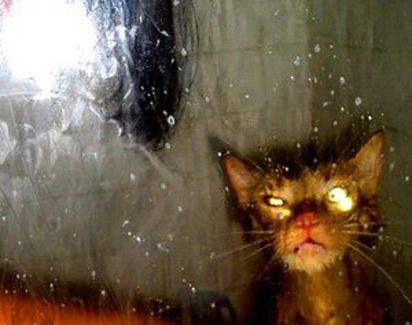 Открытки надоел дождь