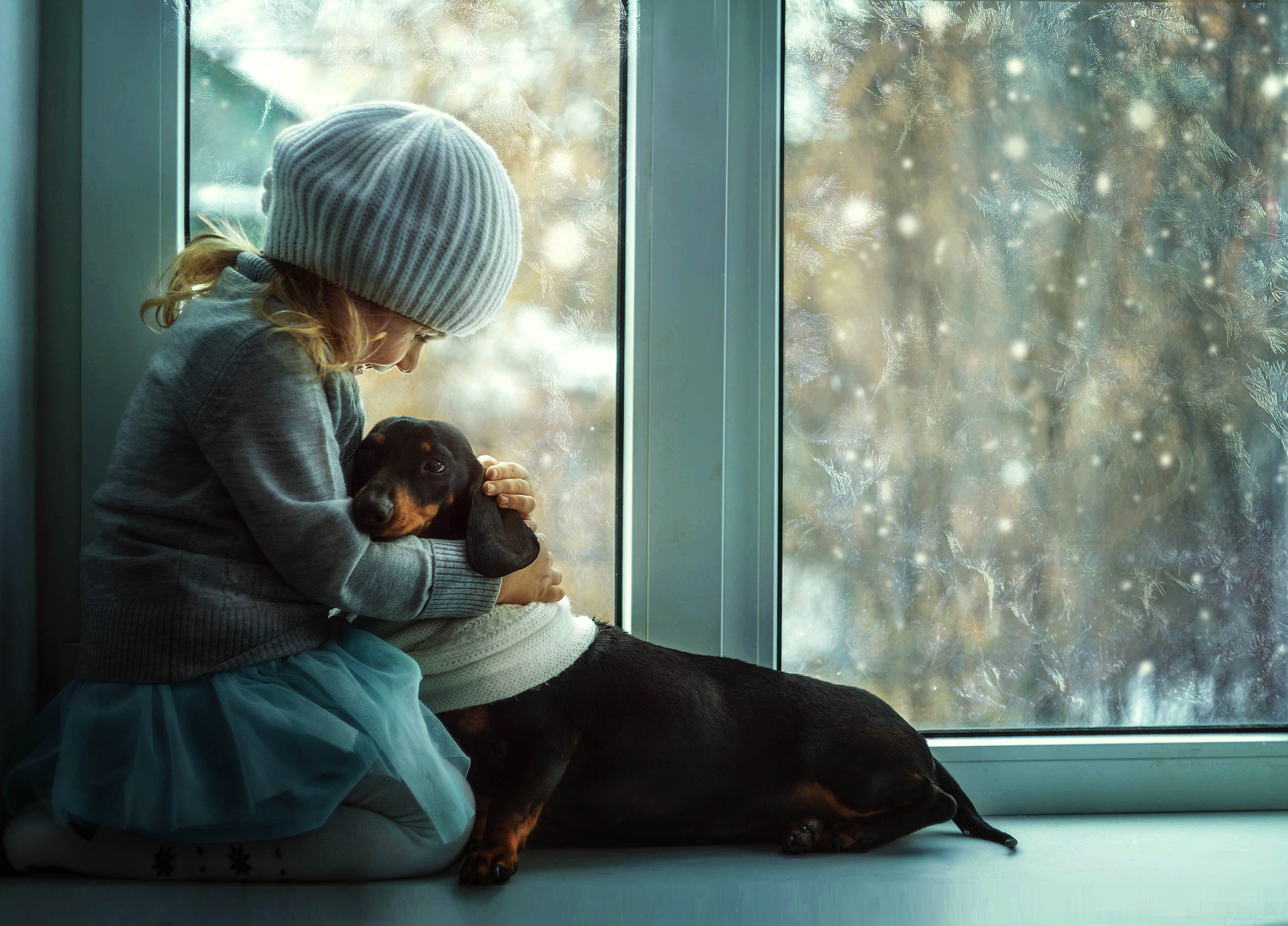 Доброта 74. Девочка у окна. Щенок на окно. Девочка с собакой у окна. Девочка на подоконнике.
