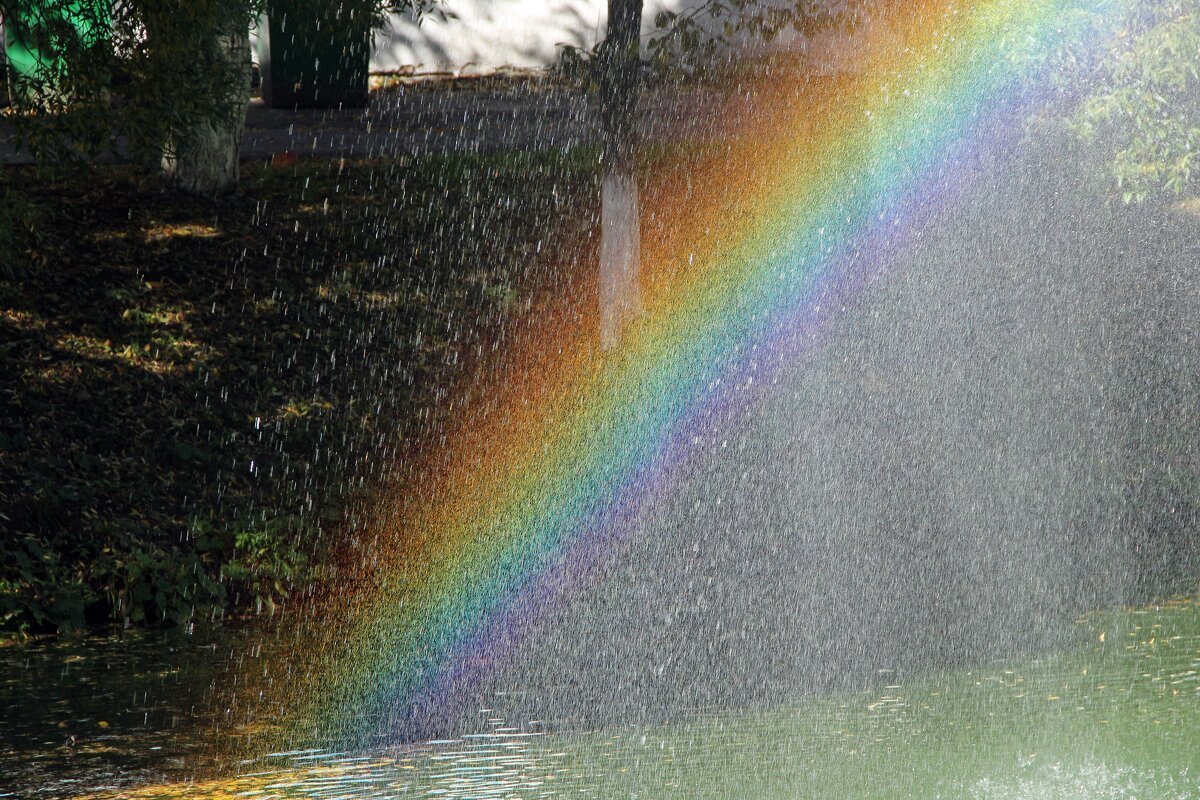 Солнце без дождя. Дождь для радуги. Летний дождь Радуга. Солнце дождь Радуга. Радуга в брызгах воды.