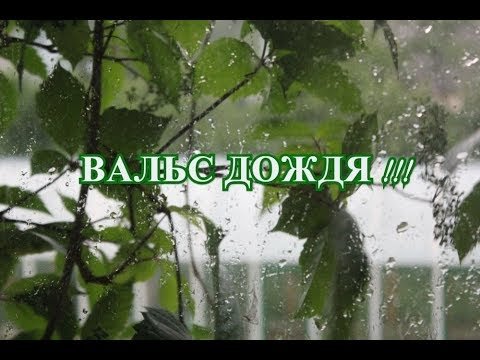 Фредерик Шопен вальс дождя