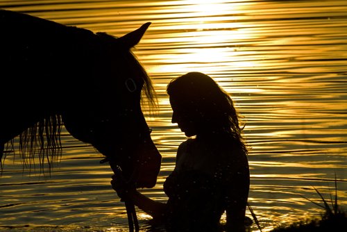 Девушка с конем на закате