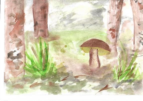 Рисование грибы в осеннем лесу подготовительная группа