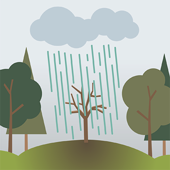 Рисунок кислотного дождя легкий