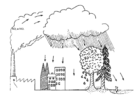 Кислотные осадки иллюстрации