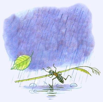 Сказка Сутеева муравей