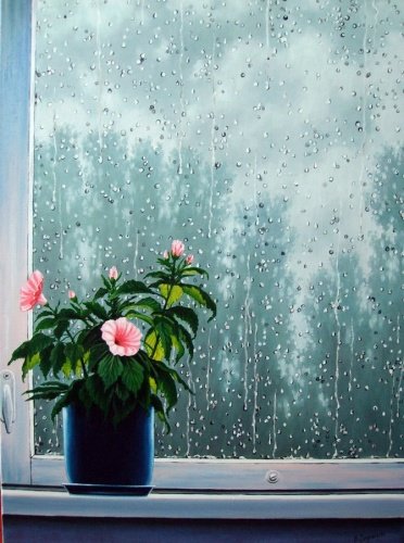 Красивый дождь за окном