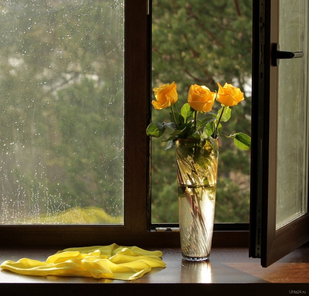 У окна. Открытое окно. Цветы окно осень. Дождь за окном. Видеть за окном дождь