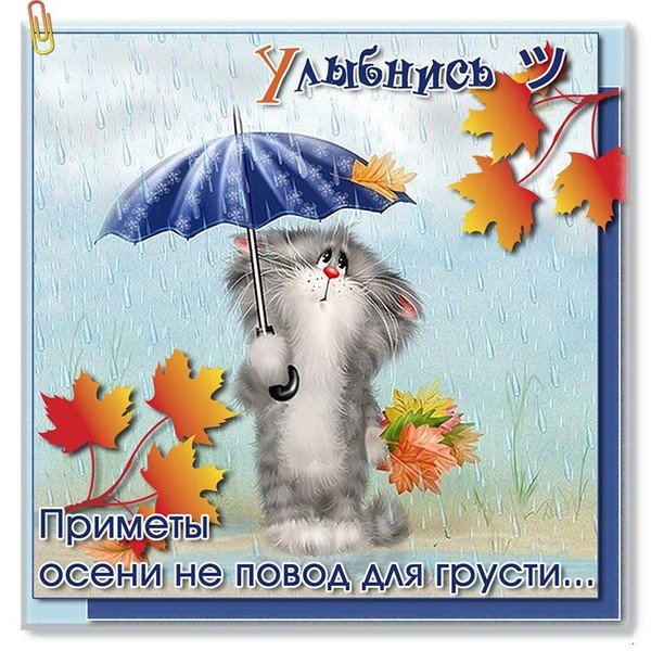 Хорошего настроения в дождливую погоду осенью