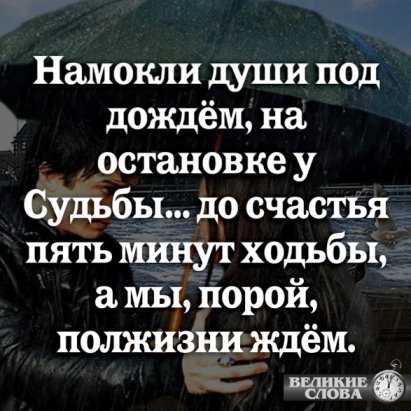 Под дождем цитаты