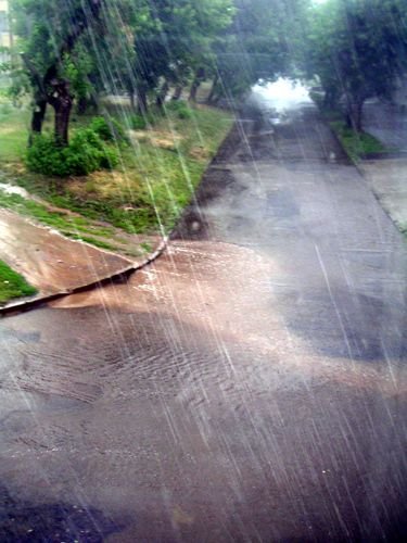 Косохлест дождь