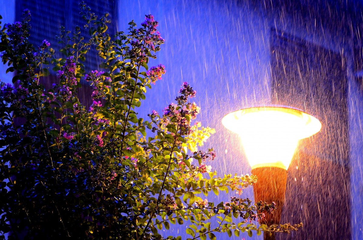Вечер 2 капли. Дождливый летний вечер. Ночной дождь. Вечерний летний дождь. Дождливая ночь.