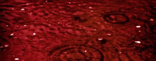 Кроваво красный дождь в Индии